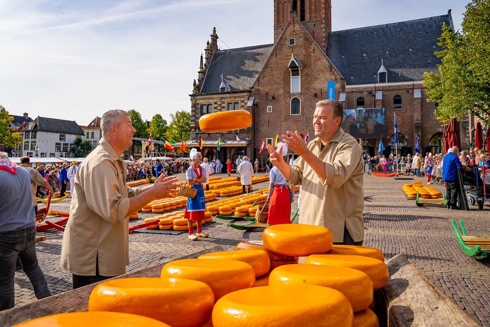 The course of a cheese market
